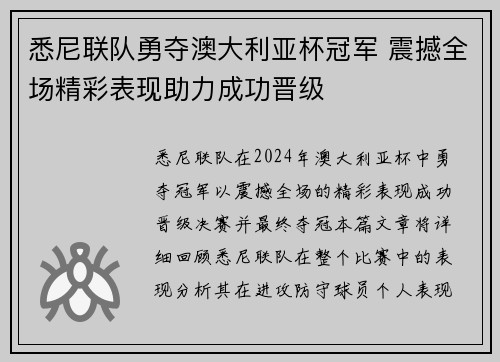 悉尼联队勇夺澳大利亚杯冠军 震撼全场精彩表现助力成功晋级