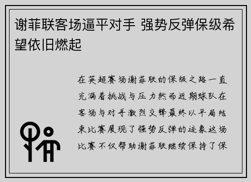 谢菲联客场逼平对手 强势反弹保级希望依旧燃起